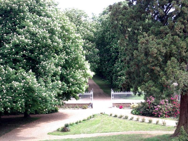 Chateau De Montbraye Parigné-lʼÉvêque Esterno foto